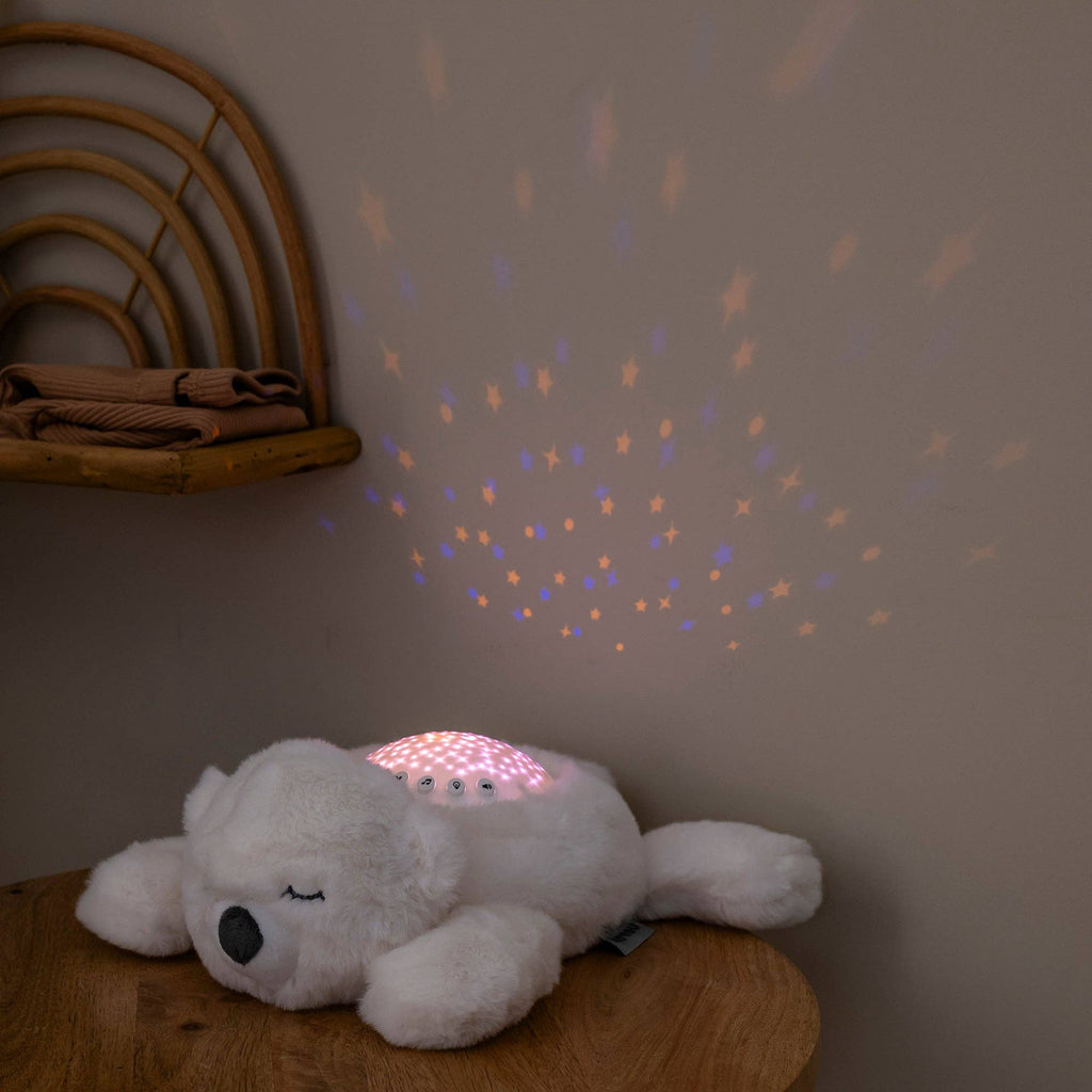 Lumière Nocturne