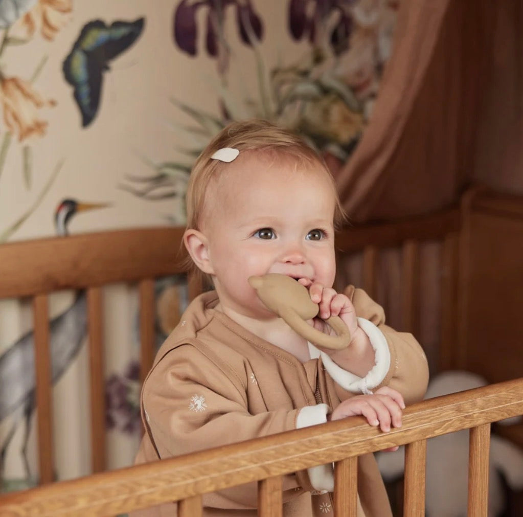 Anneau de Dentition en Caoutchouc - Teddy Bear
